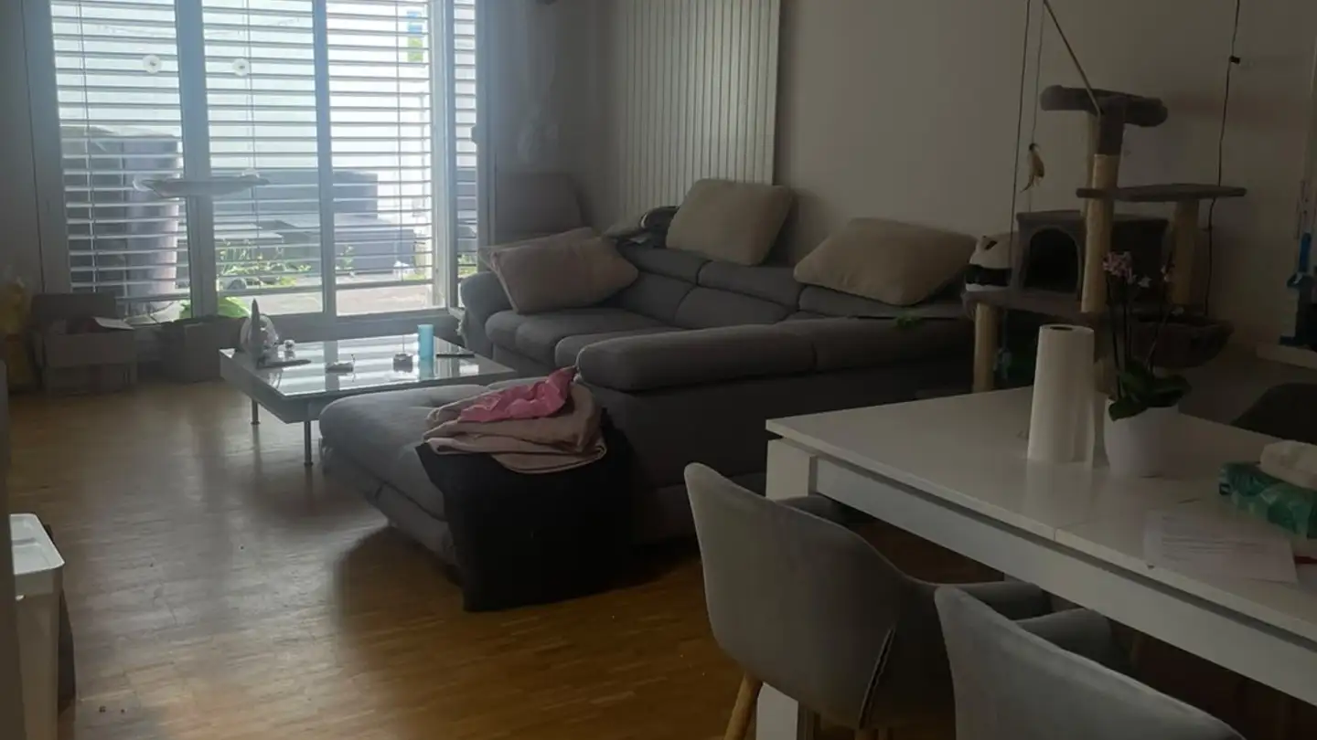 Chambre à louer - Grindelstrasse 57, 8604 Volketswil - Photo 4