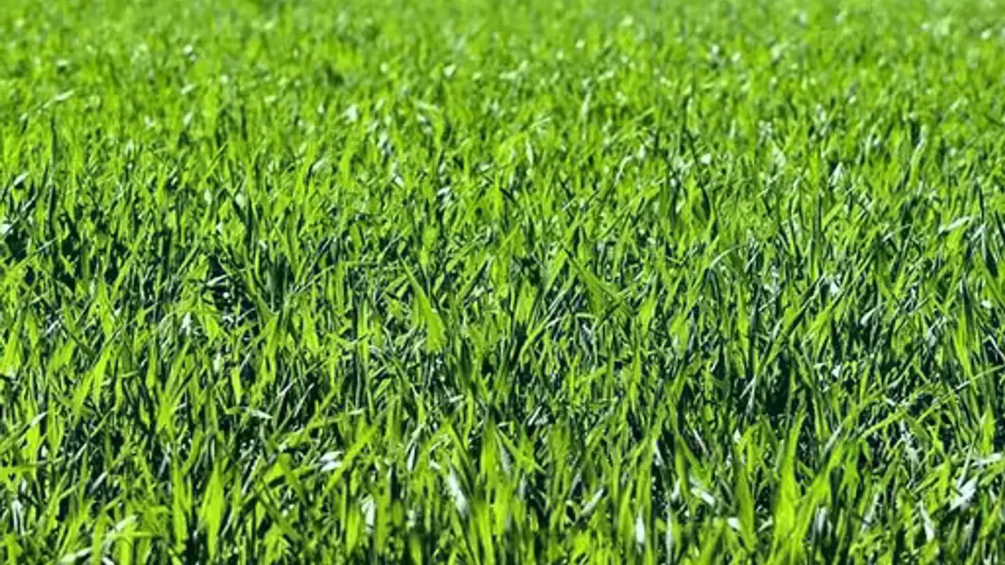 Constructible plot for sale - 6710 Biasca
