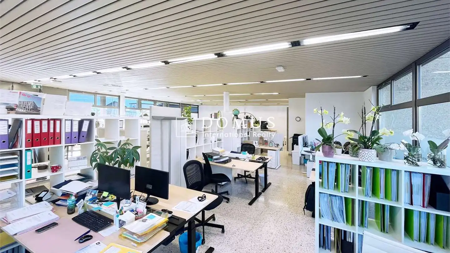 Spazio ufficio in affitto - Via Cantonale, 6815 Melide - Foto 2