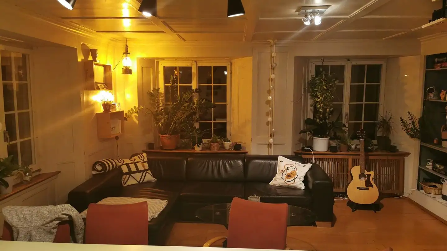 Stanza singola in affitto - Seestrasse 78, 8805 Richterswil - Foto 3