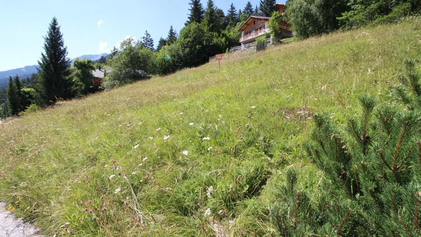 Constructible plot for sale - 3963 Crans-Montana - Photo 3