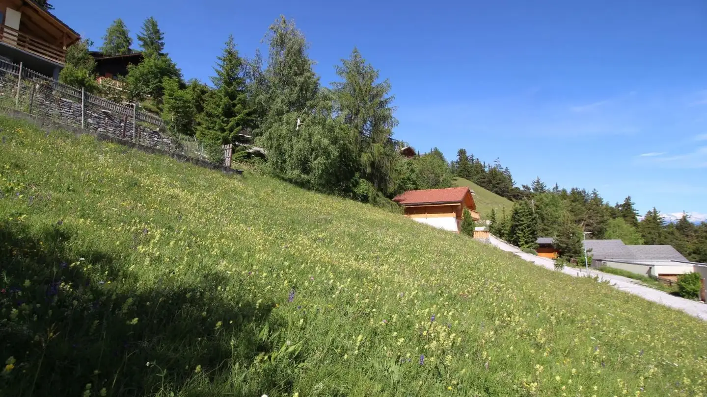 Constructible plot for sale - 3963 Crans-Montana - Photo 4