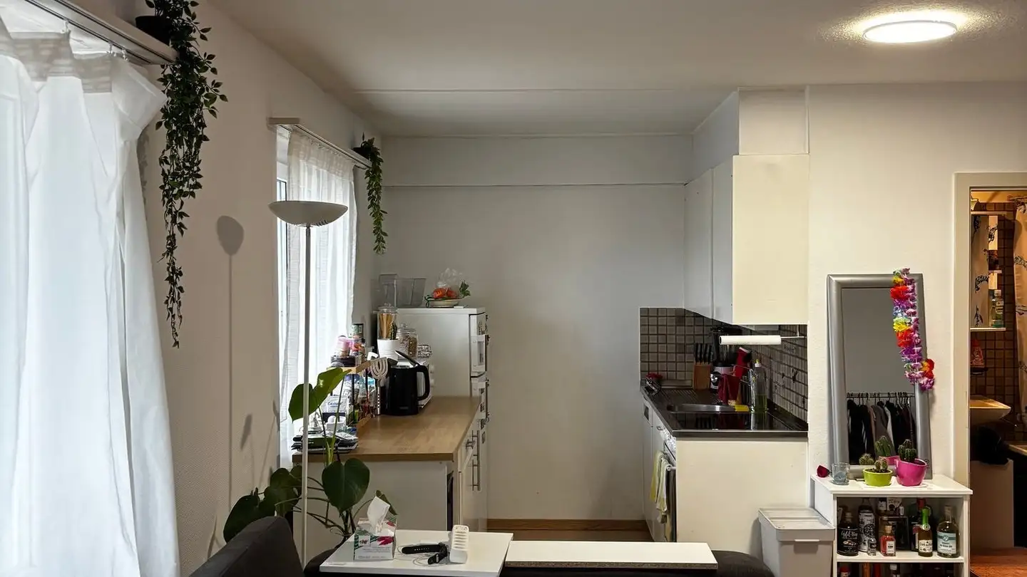 Appartamento in affitto - Loorstrasse 22, 8400 Winterthur - Foto 3