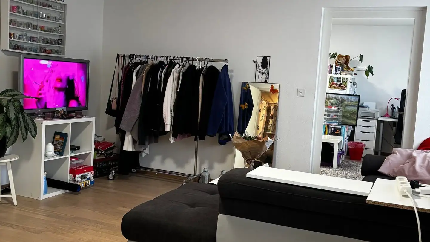 Appartamento in affitto - Loorstrasse 22, 8400 Winterthur - Foto 4