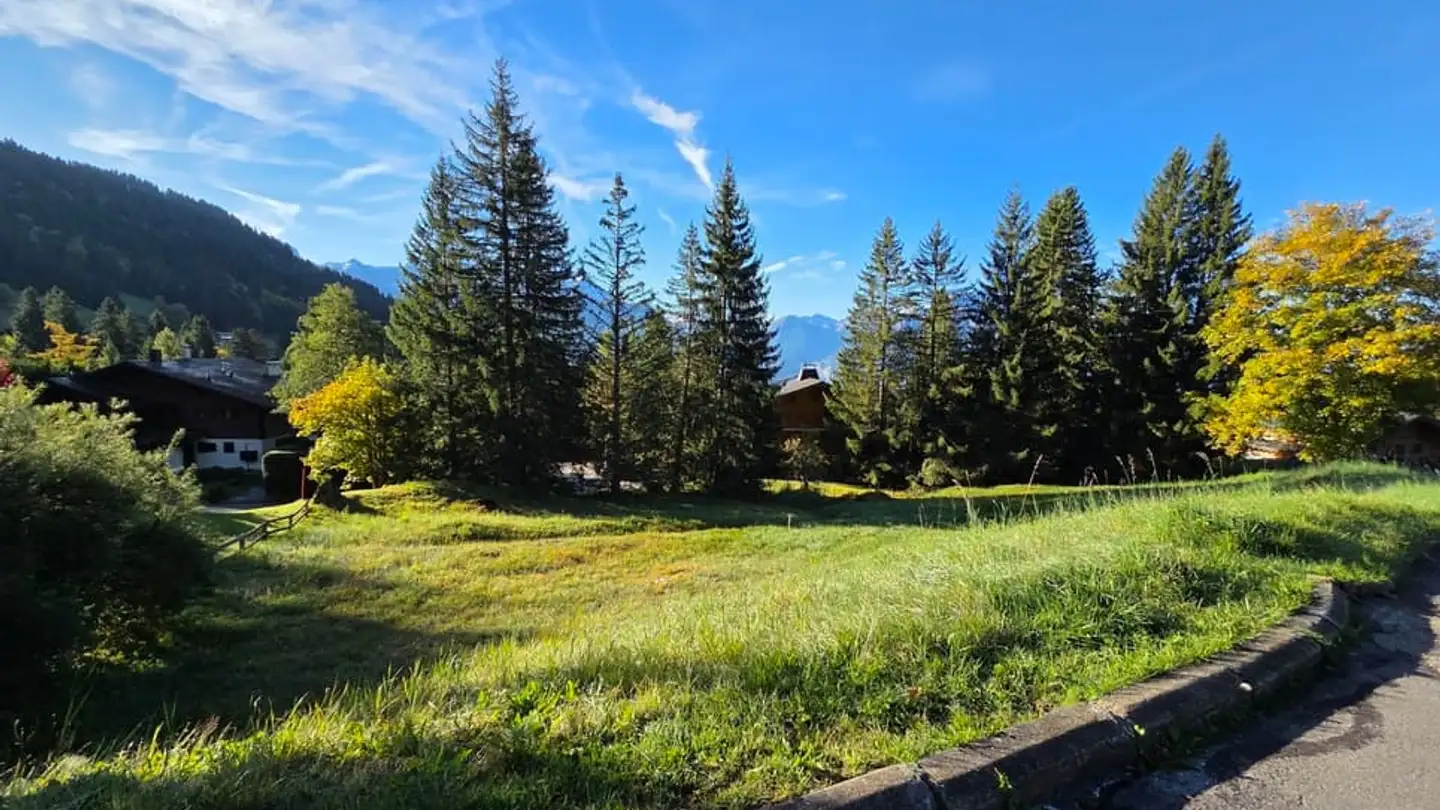 Terrain constructible à vendre - 1884 Villars-sur-Ollon