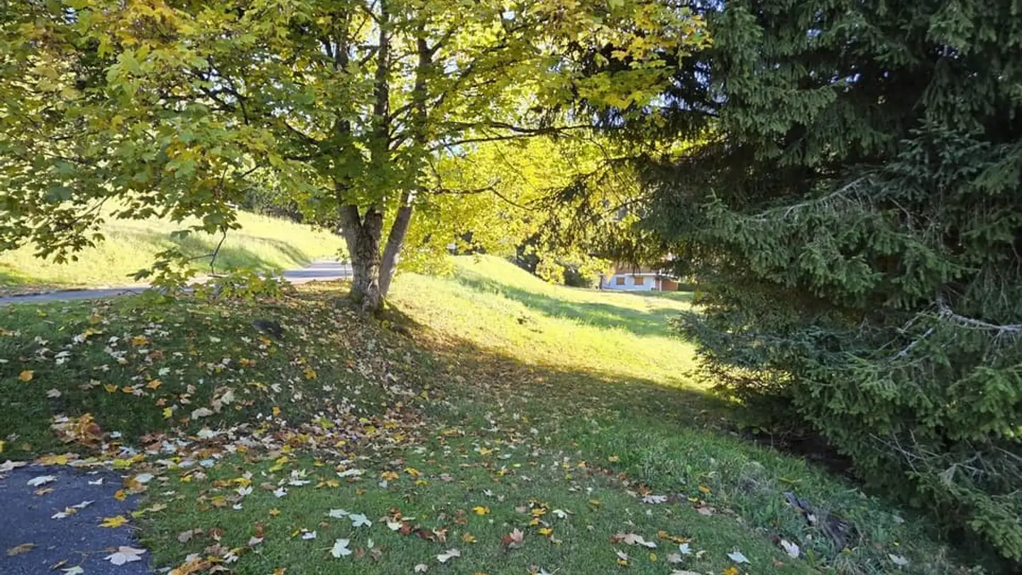 Terreno edificabile in vendita - 1884 Villars-sur-Ollon - Photo 2