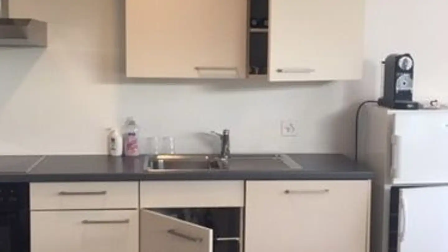 Apartment for rent - Alte Landstrasse 109, 6314 Unterägeri - Photo 4