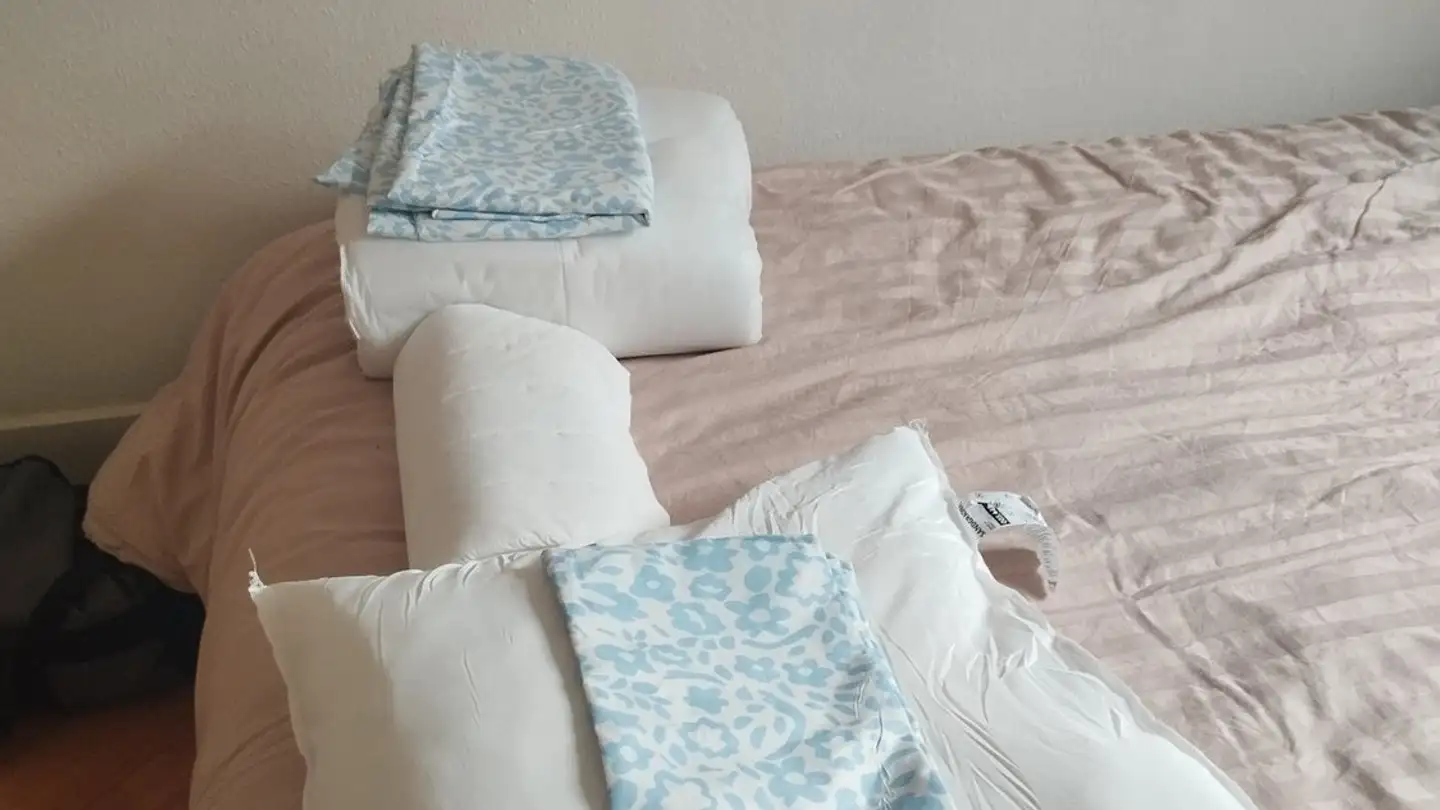 Single room for rent - Rue de Montbrillant, 1202 Genève