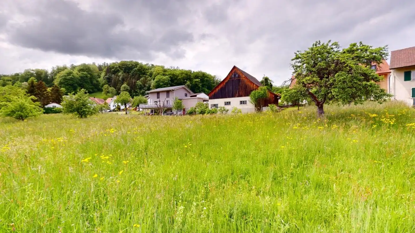 Terreno edificabile in vendita - 4424 Arboldswil - Foto 2