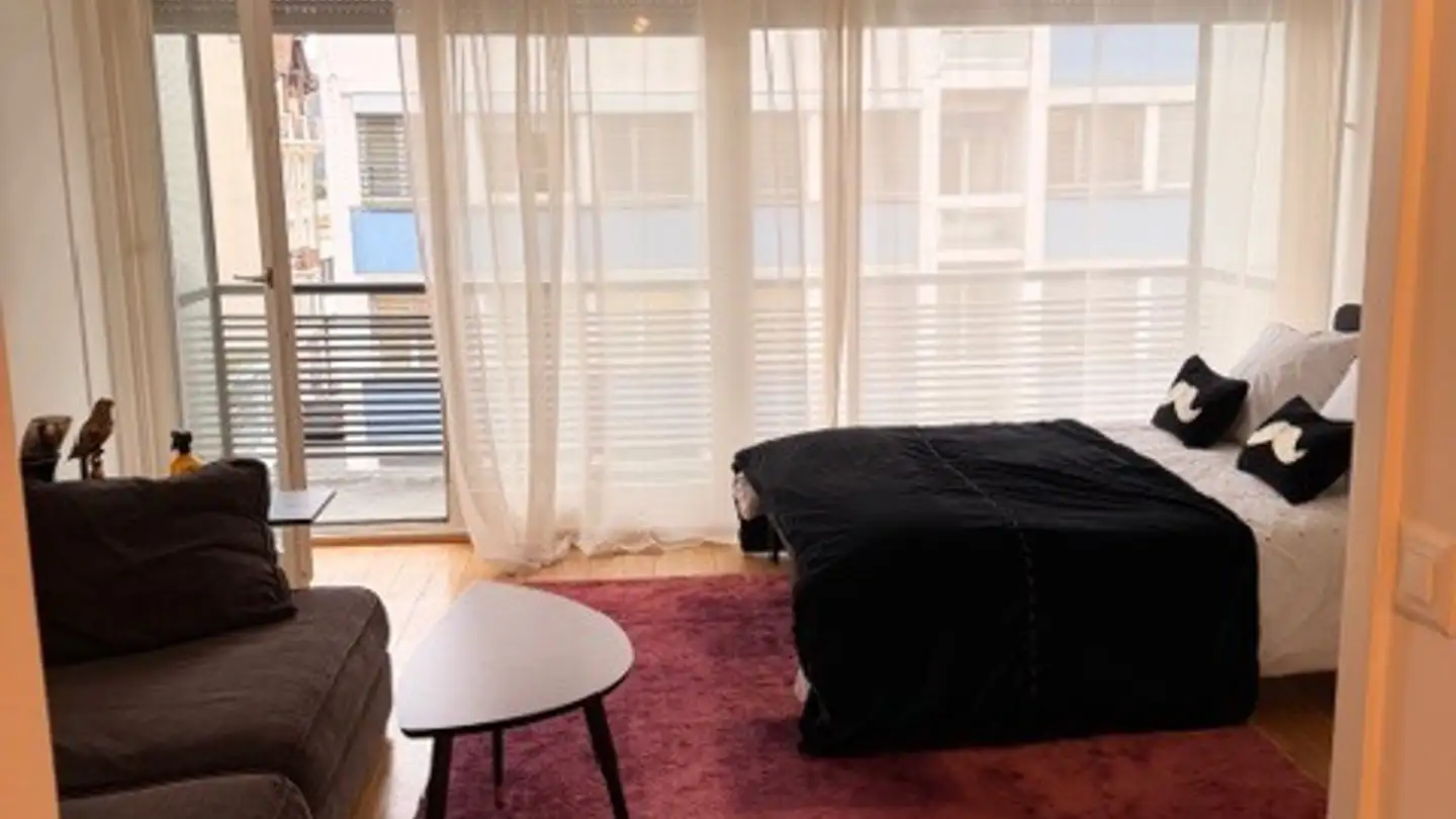 Furnished apartment for rent - Rue Des Eaux-Vives, 1207 Genève