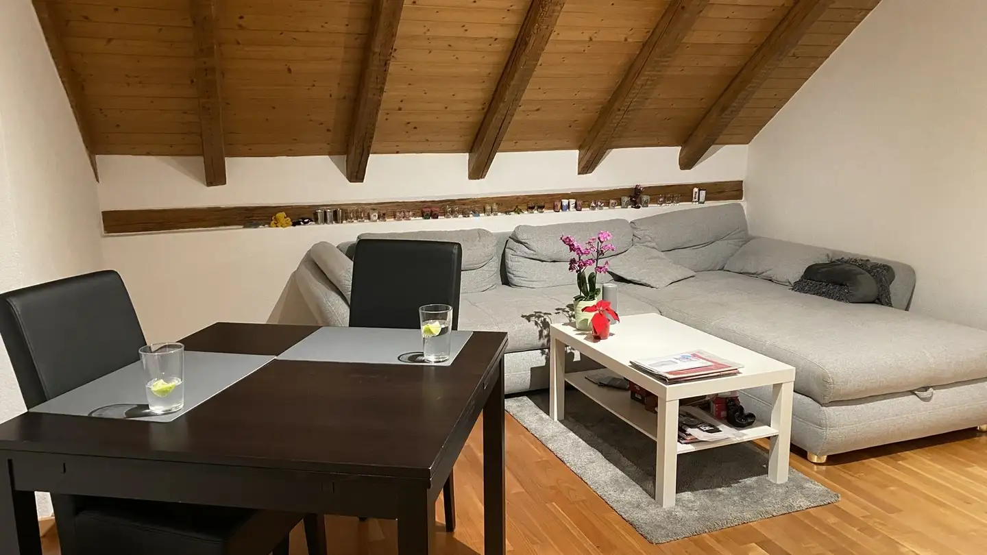 Appartement à louer - Tannenzaunstrasse 15, 8610 Uster