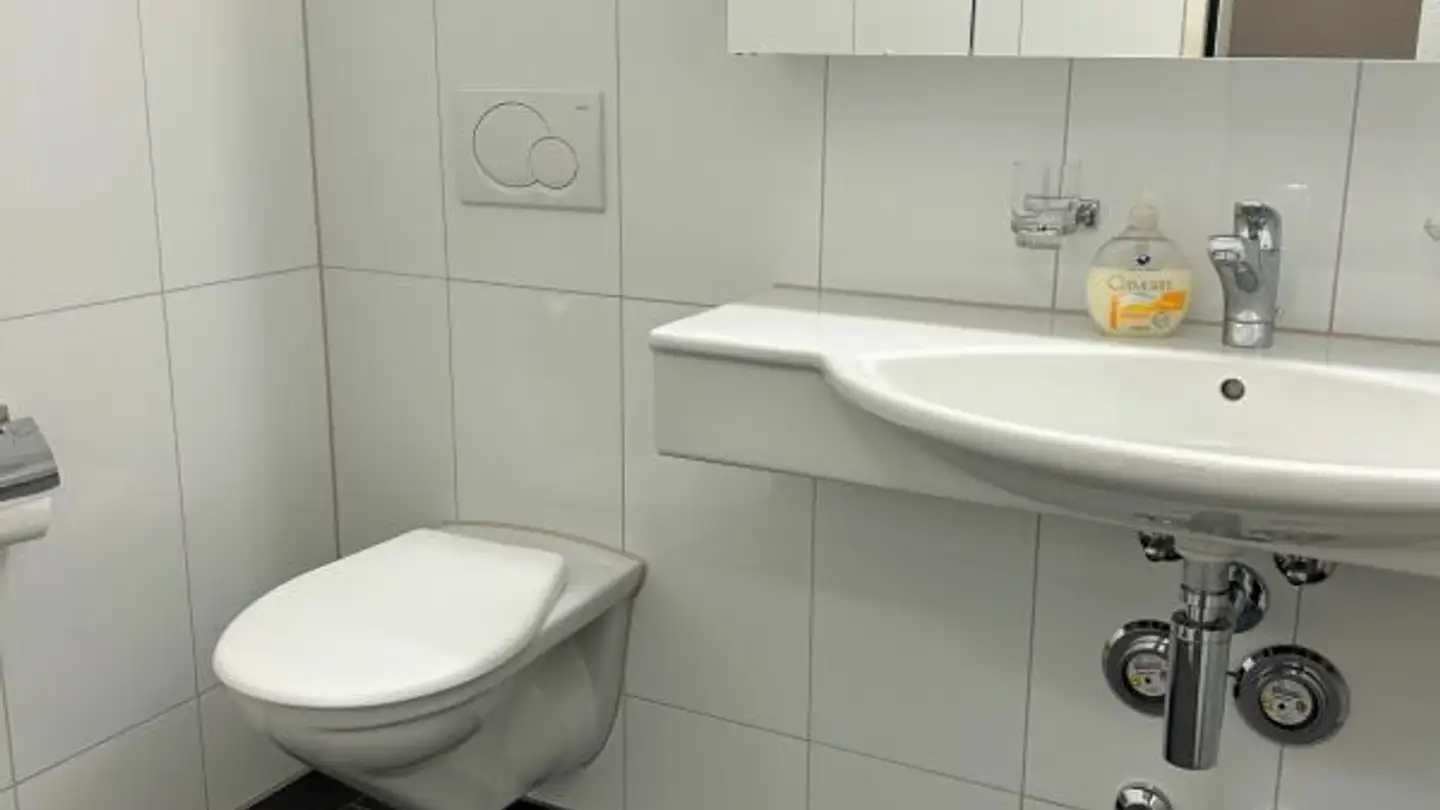 Commercial for rent - Unterdorf 25, 8914 Aeugst am Albis - Photo 3