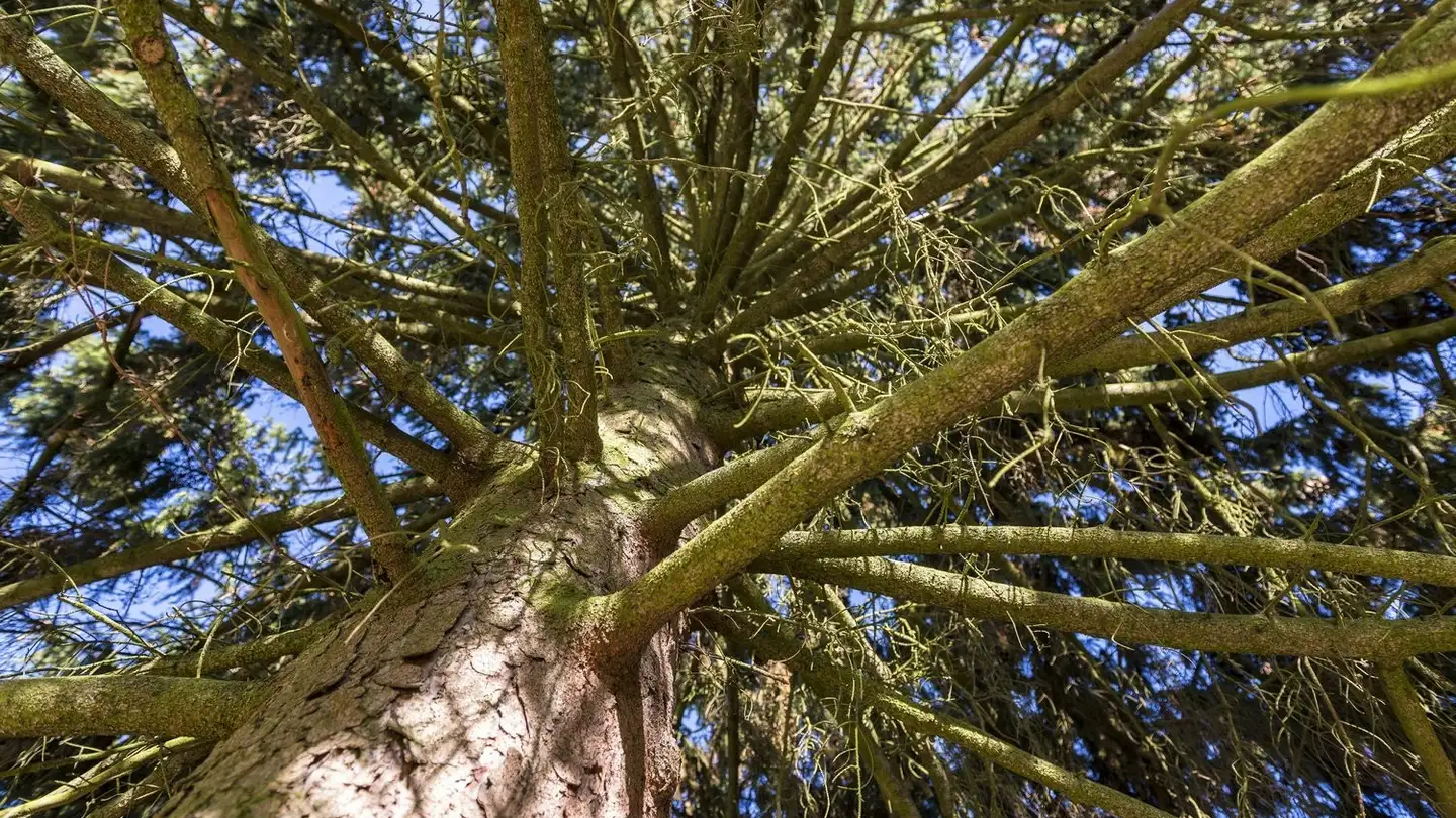 Appartamento in affitto - Ackerstrasse 6, 5330 Bad Zurzach - Photo 3