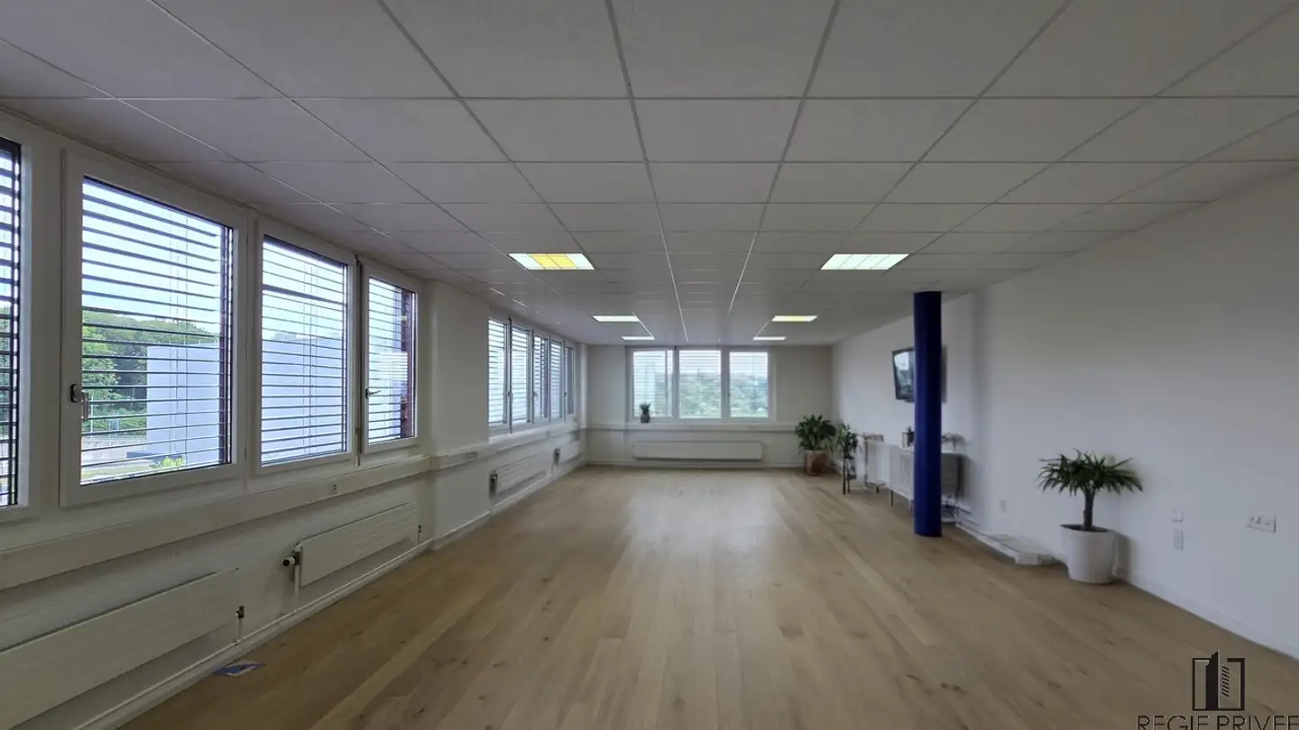 Commerciale in affitto - Avenue De Riond-Bosson 12, 1110 Morges - Photo 4