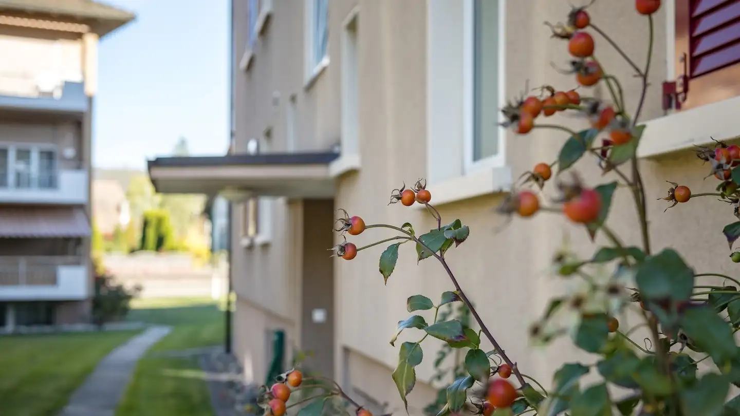 Appartamento in affitto - Ackerstrasse 6, 5330 Bad Zurzach - Photo 2