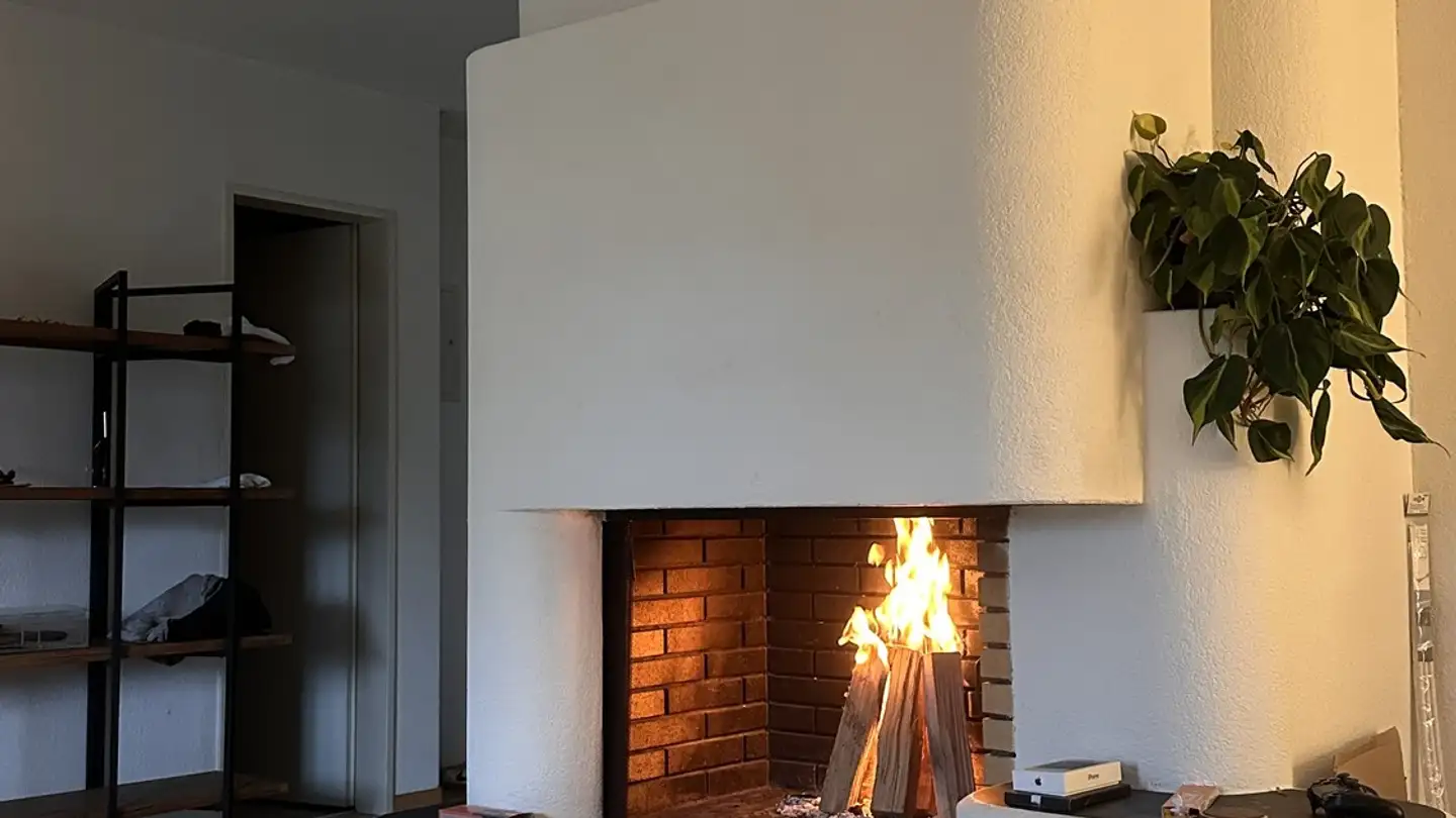 Apartment for rent - 8810 Horgen