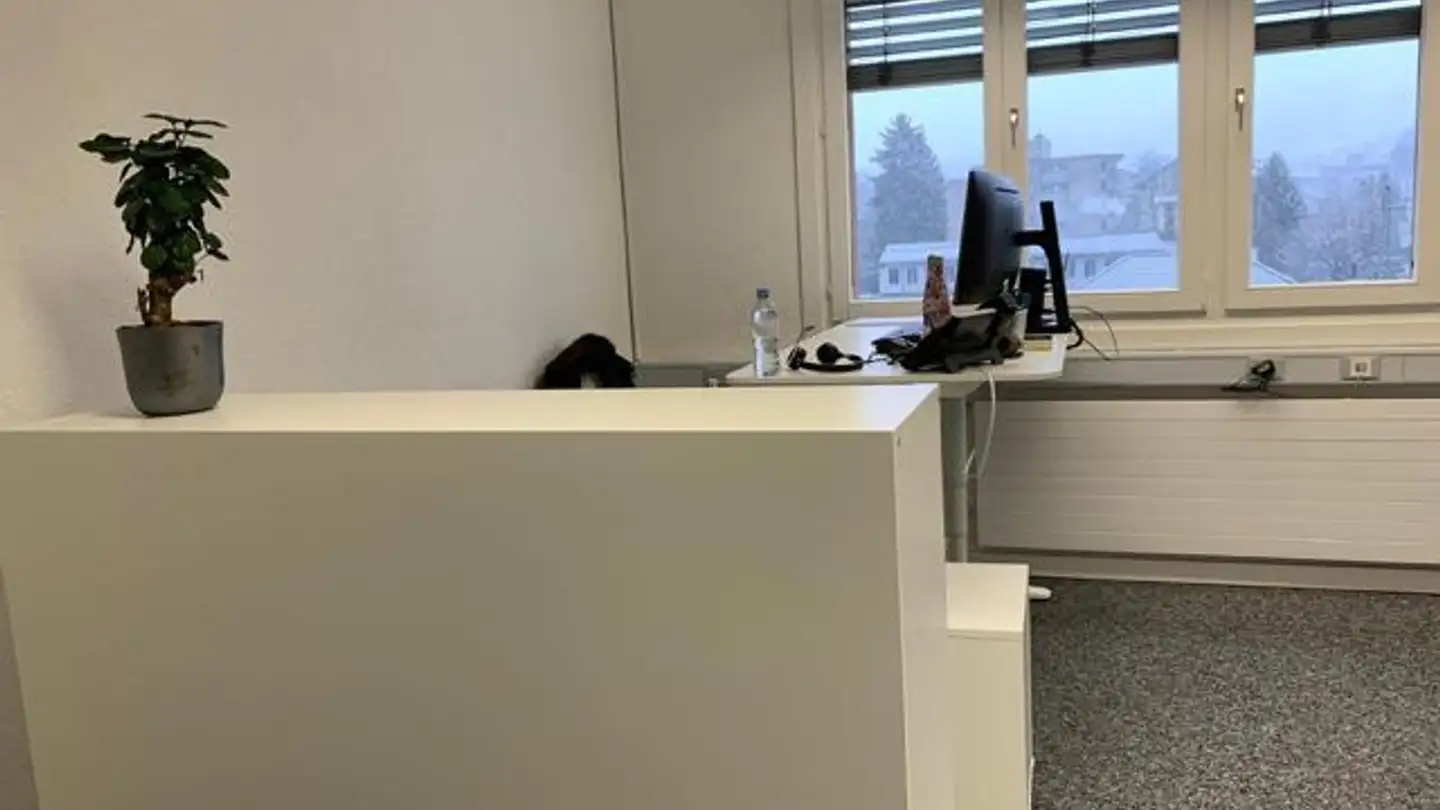 Commercial à louer - Bahnhofplatz 10, 8853 Lachen SZ - Photo 3