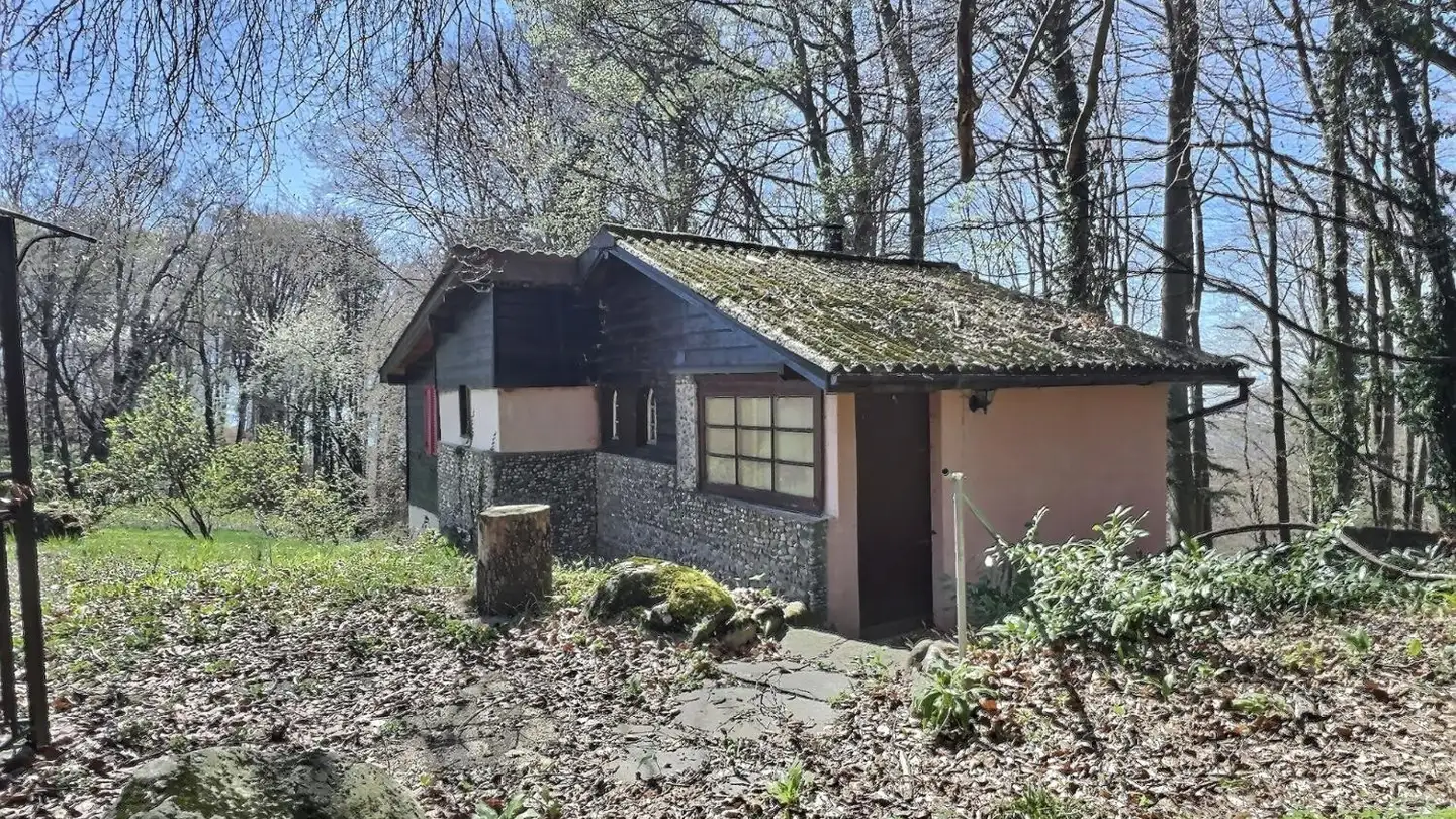 Casa singola in vendita - 1807 Blonay - Foto 4