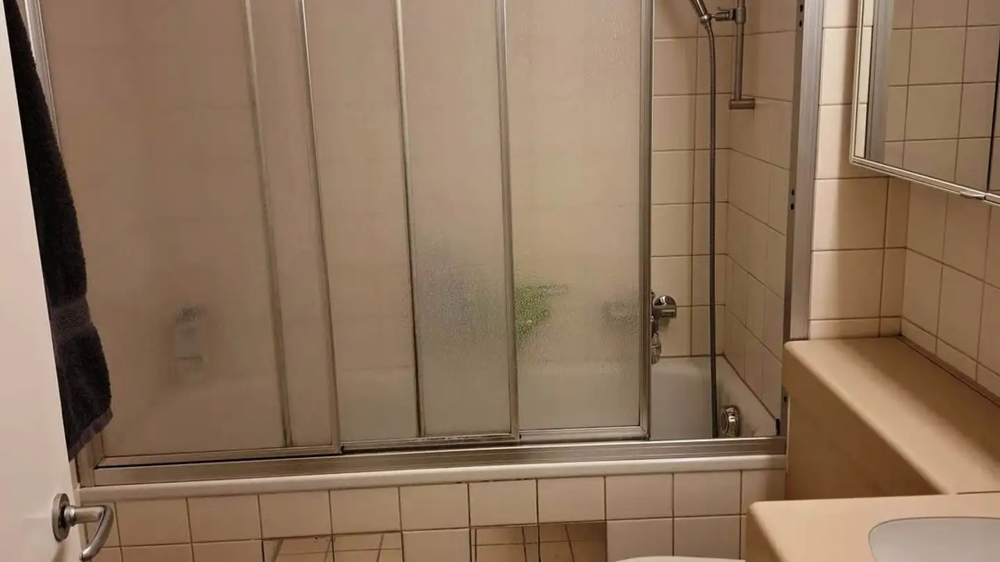 Möblierte Wohnung mieten - 8050 Zürich - Foto 2