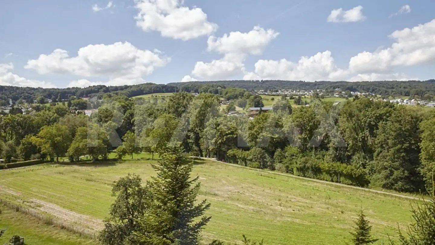 Appartamento in affitto - Mühlehaldenstrasse 60, 8953 Dietikon - Photo 2