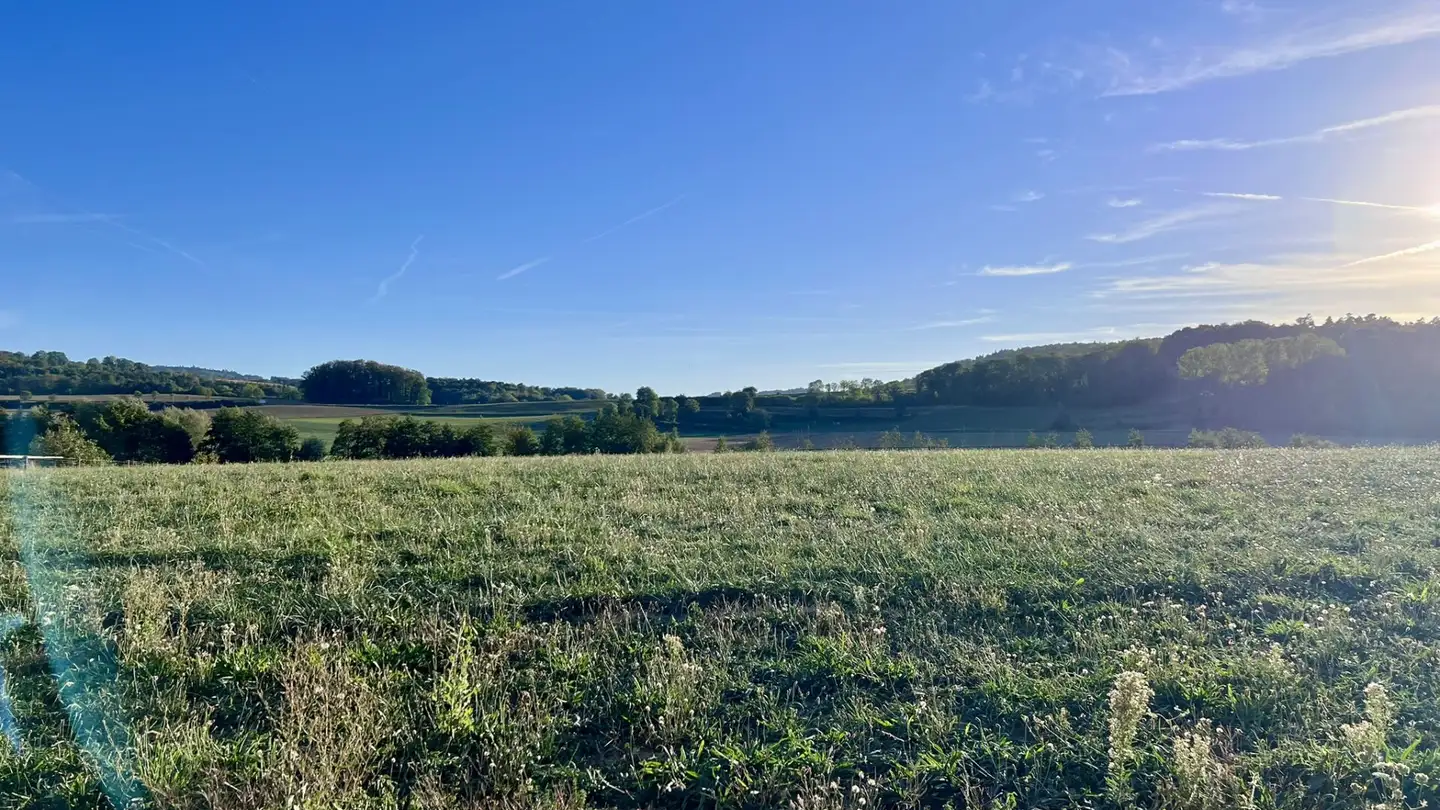 Appartement à louer - Route Cantonale 33A, 1483 Frasses - Photo 4