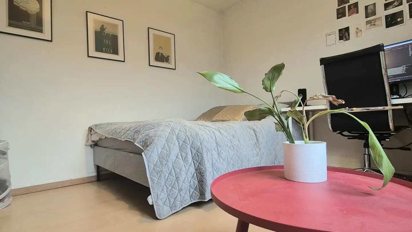 Chambre à louer - Brahmsstrasse 21, 8003 Zürich