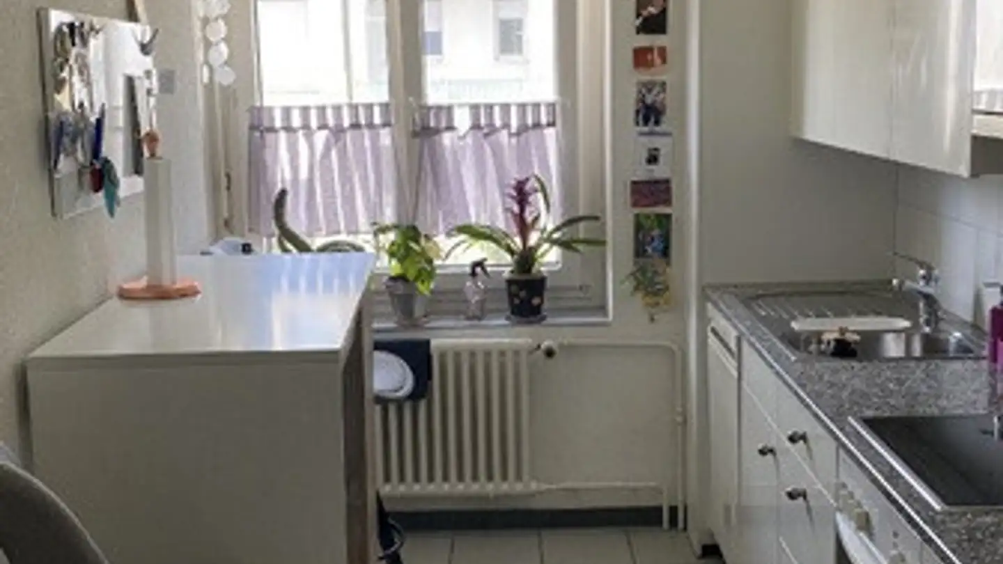 Furnished apartment for rent - 4052 Basel - Photo 3