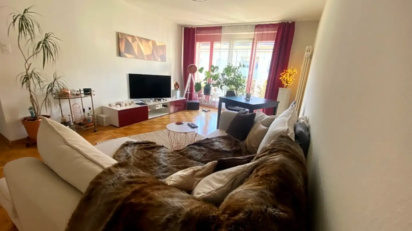 Furnished apartment for rent - 4052 Basel