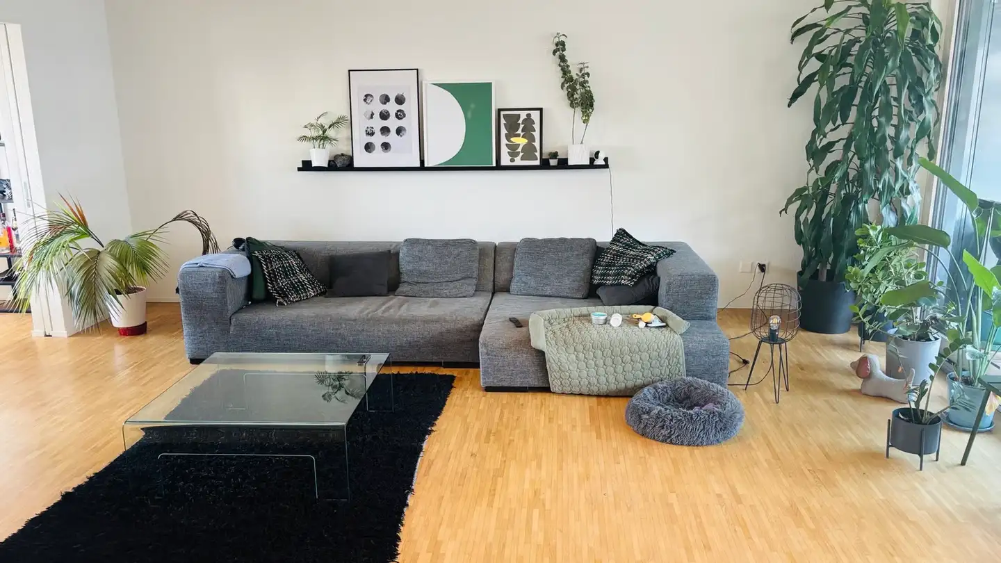 Chambre à louer - Otto-Schütz-Weg 9, 8050 Zürich