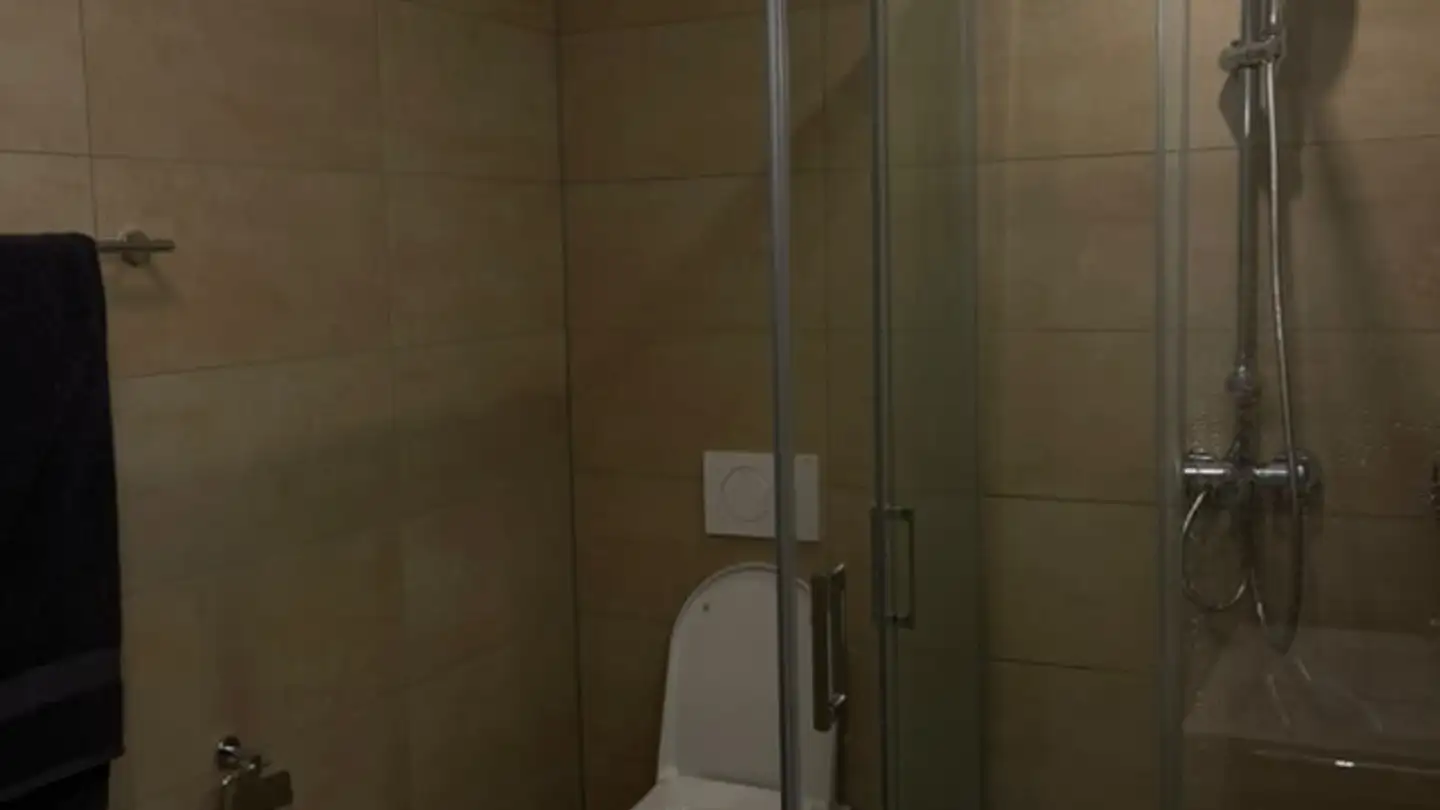 Apartment for rent - Winterthurerstrasse 338, 8057 Zürich - Photo 4