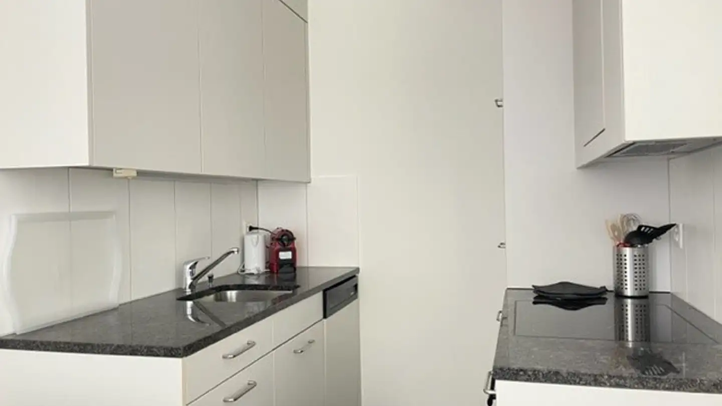 Furnished apartment for rent - Gundeldingerrain 10, 4053 Basel - Photo 4