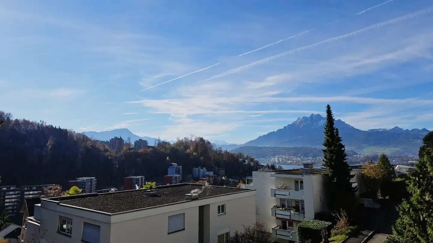 Appartement à vendre - Schädrütihalde, 6006 Luzern - Photo 3
