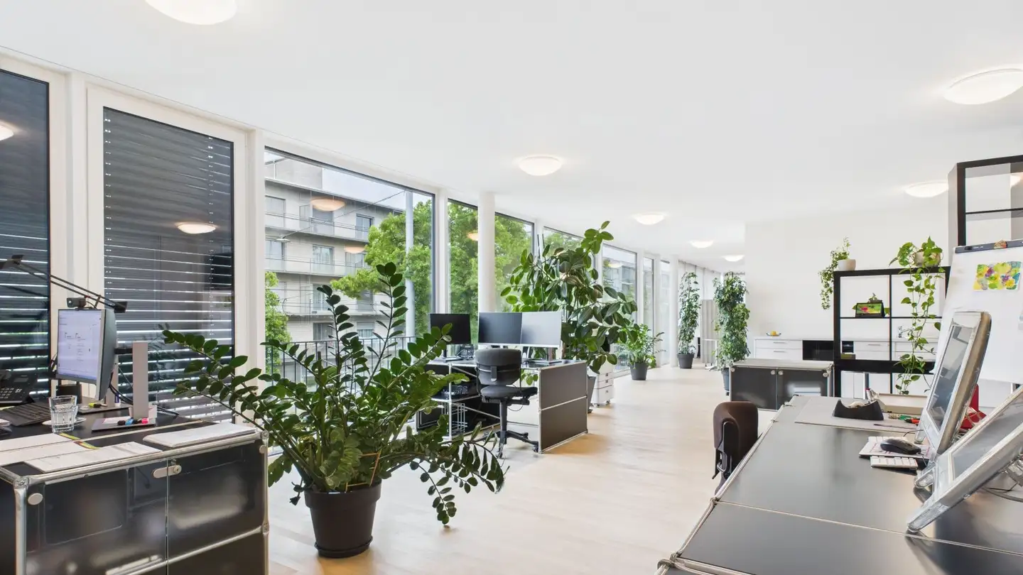 Commerciale in affitto - Burgfelderstrasse 209, 4055 Basel - Foto 2