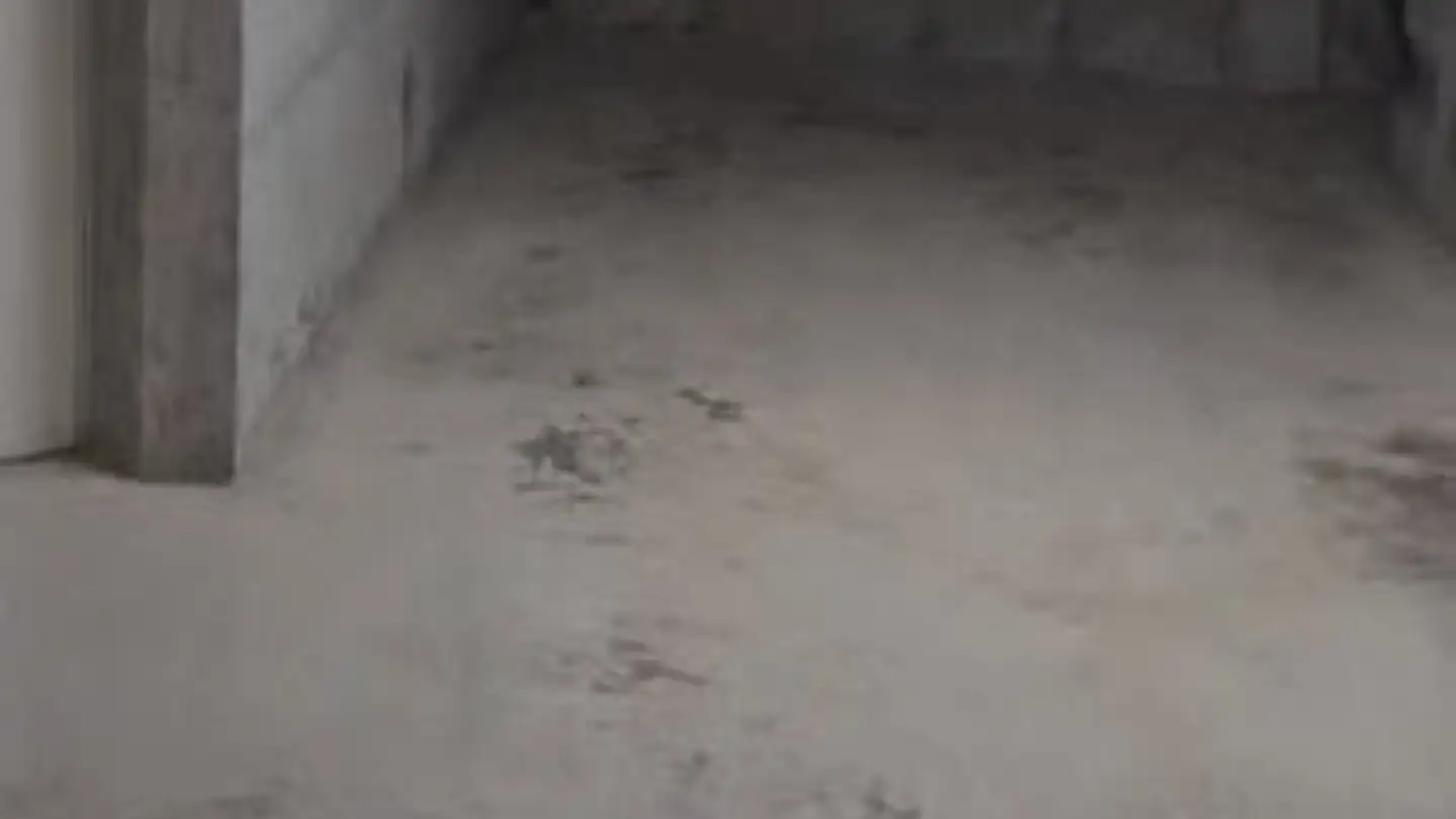 Appartamento in affitto - Rue Du Village 2a, 1164 Buchillon