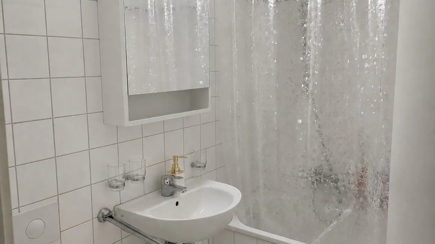 Appartamento in affitto - Altwiesenstrasse 199, 8051 Zürich - Foto 4