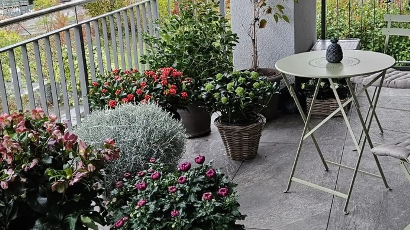 Wohnung mieten - Buechwisstrasse 2b, 8121 Benglen - Foto 4