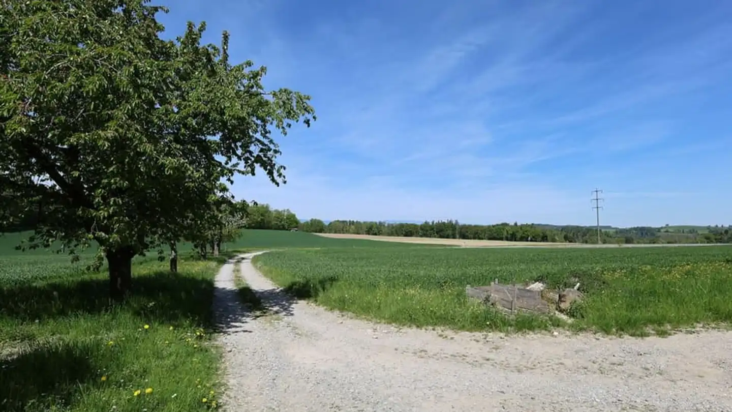 Einfamilienhaus kaufen - 1746 Prez-vers-Noréaz - Foto 4