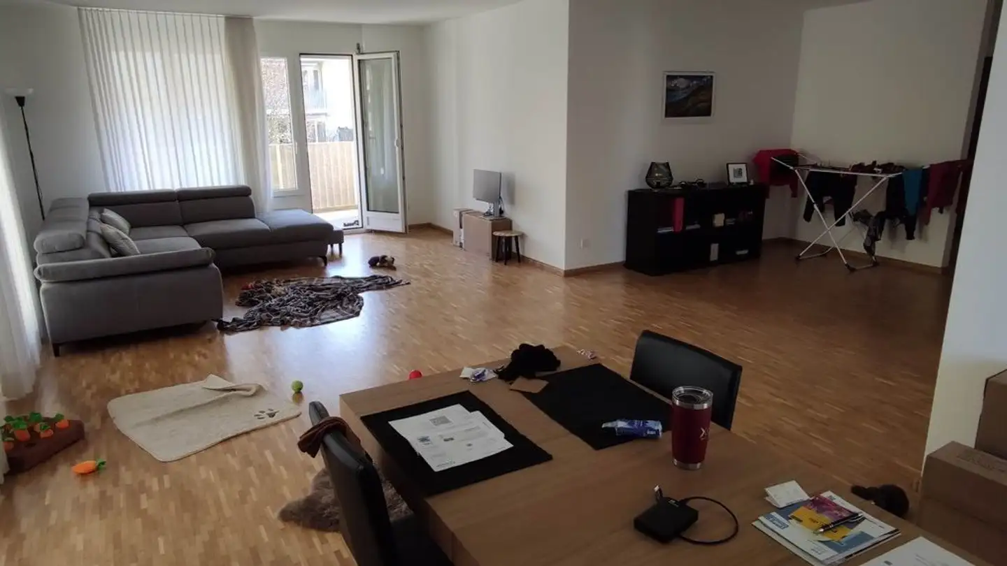 Appartamento in affitto - 4102 Binningen