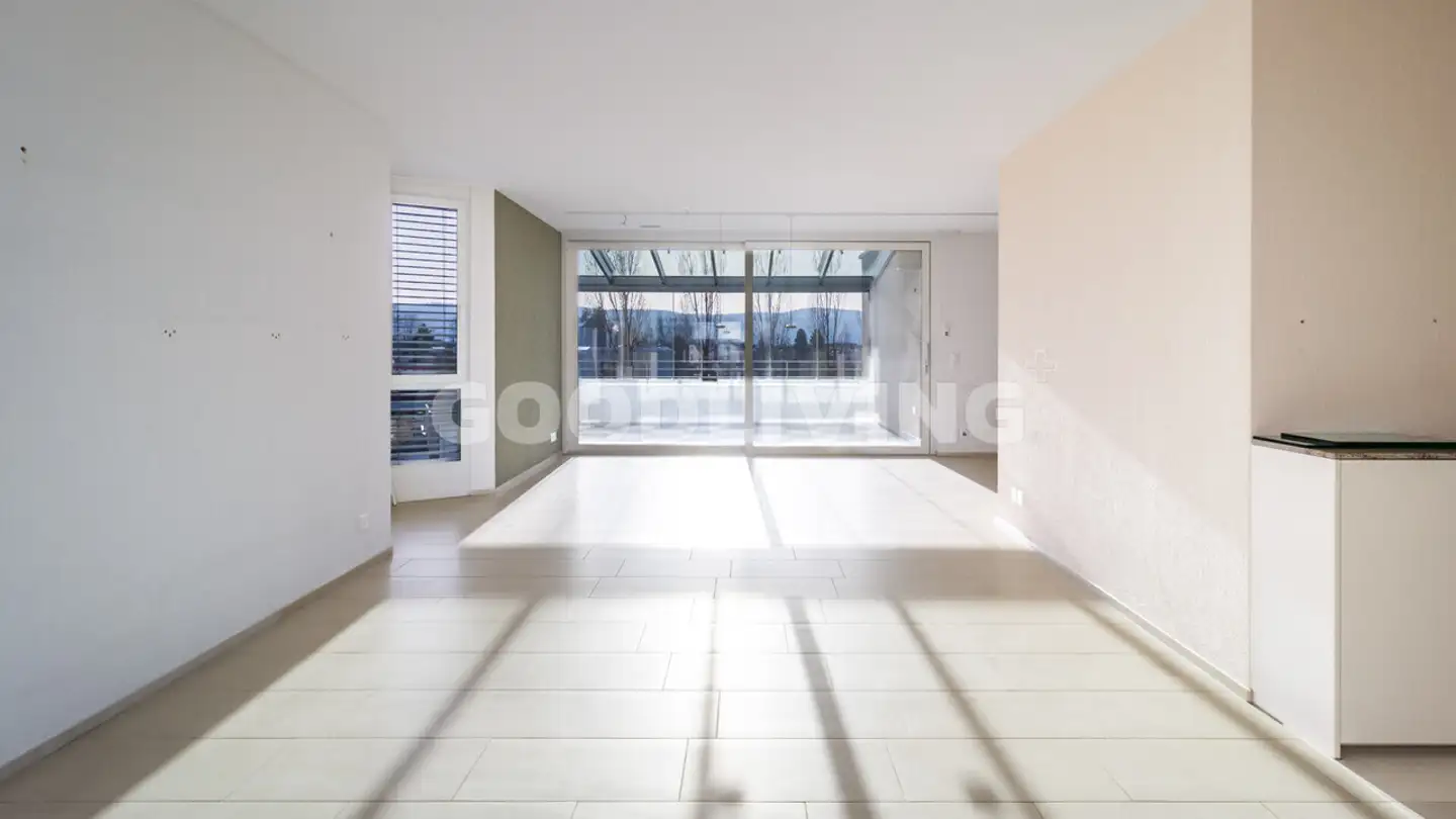 Penthouse for sale - 8603 Schwerzenbach - Photo 4