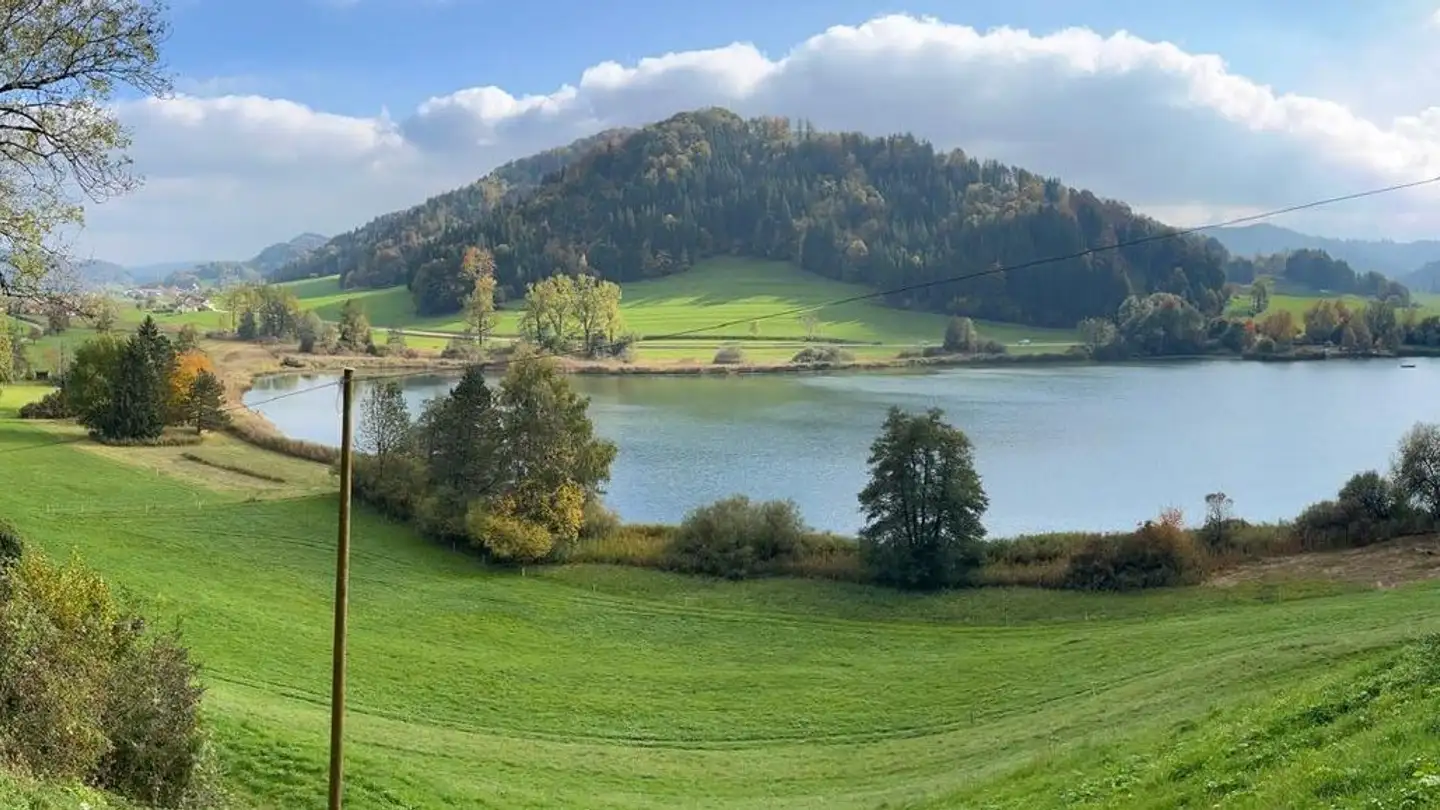 Casa bifamiliare in vendita - Niederhofen 40, 8363 Bichelsee - Photo 4