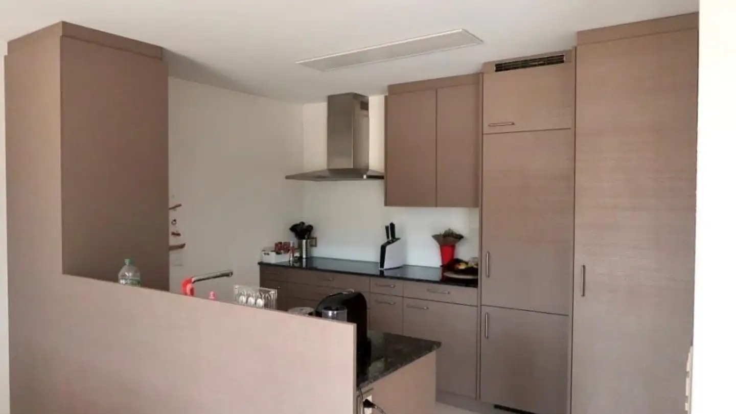 Attico in affitto - Wülflingerstrasse 151a, 8408 Winterthur - Foto 4