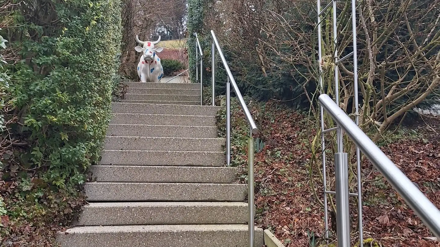 Studio à louer - Schwizerstrasse 23, 8610 Uster - Photo 2