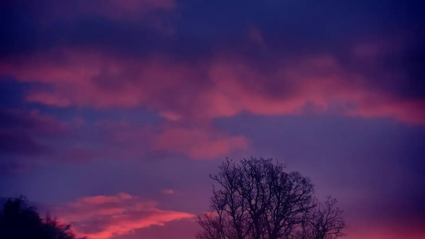 Apartment for rent - 1323 Romainmôtier - Photo 2