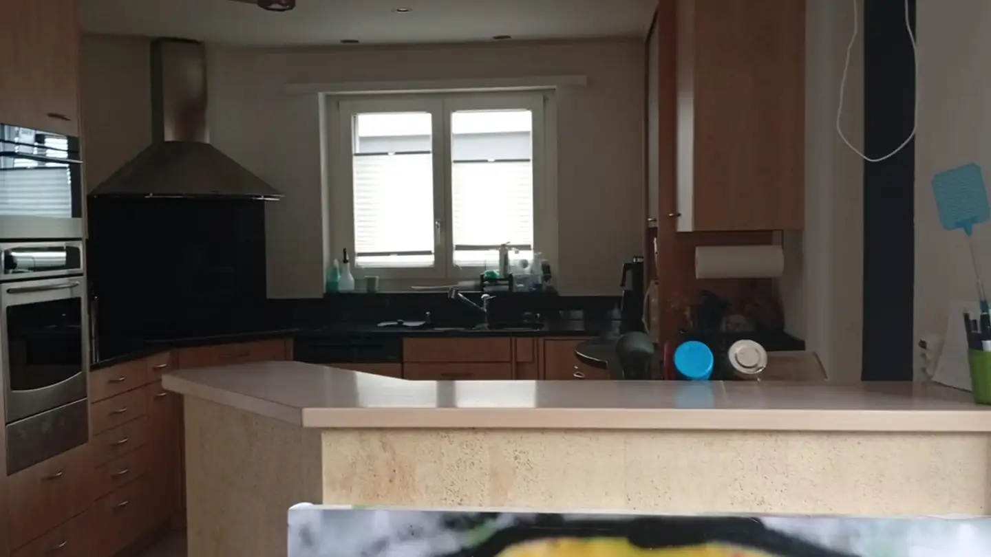 Appartamento in affitto - Wehntalerstrasse 7, 8165 Schleinikon - Foto 3
