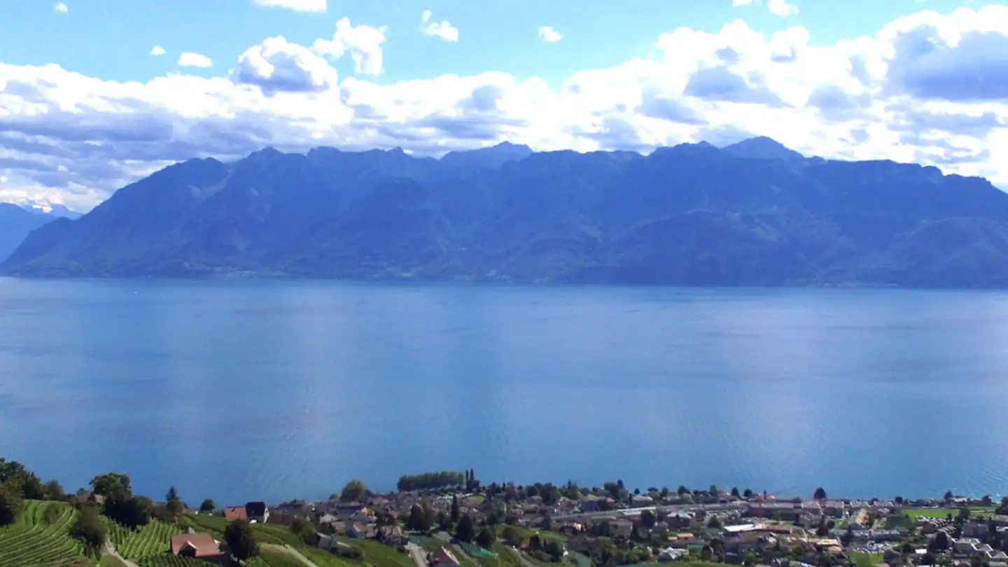 Apartment for sale - Chemin Du Grabe 29, 1091 Grandvaux