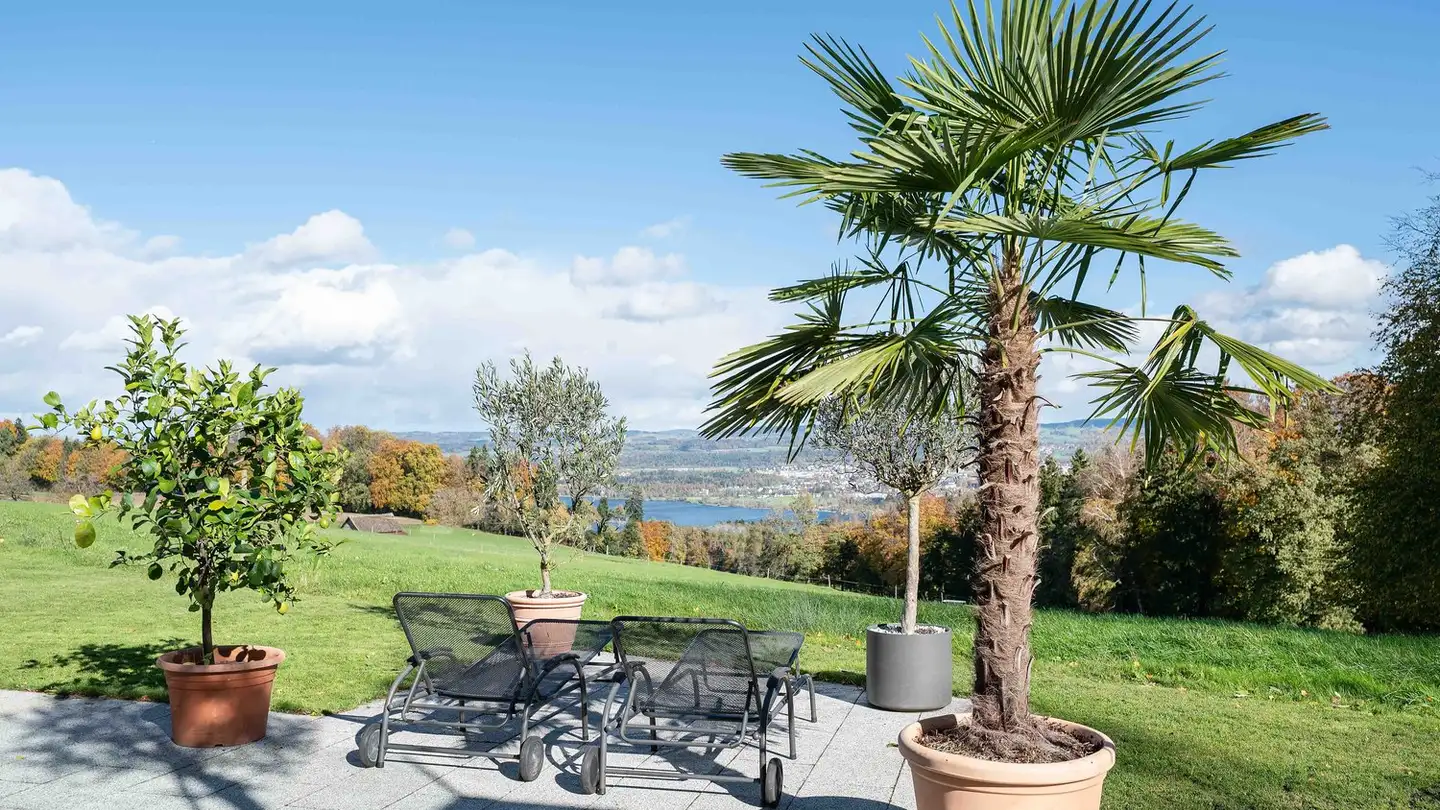 Stepped apartment for sale - Berghaldenstrasse, 8127 Forch