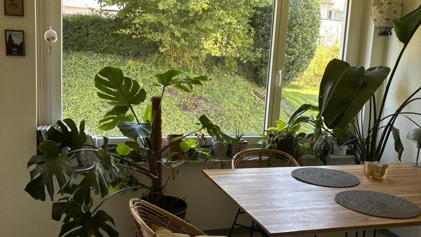 Stanza singola in affitto - Alpenstrasse 7, 8800 Thalwil - Photo 4