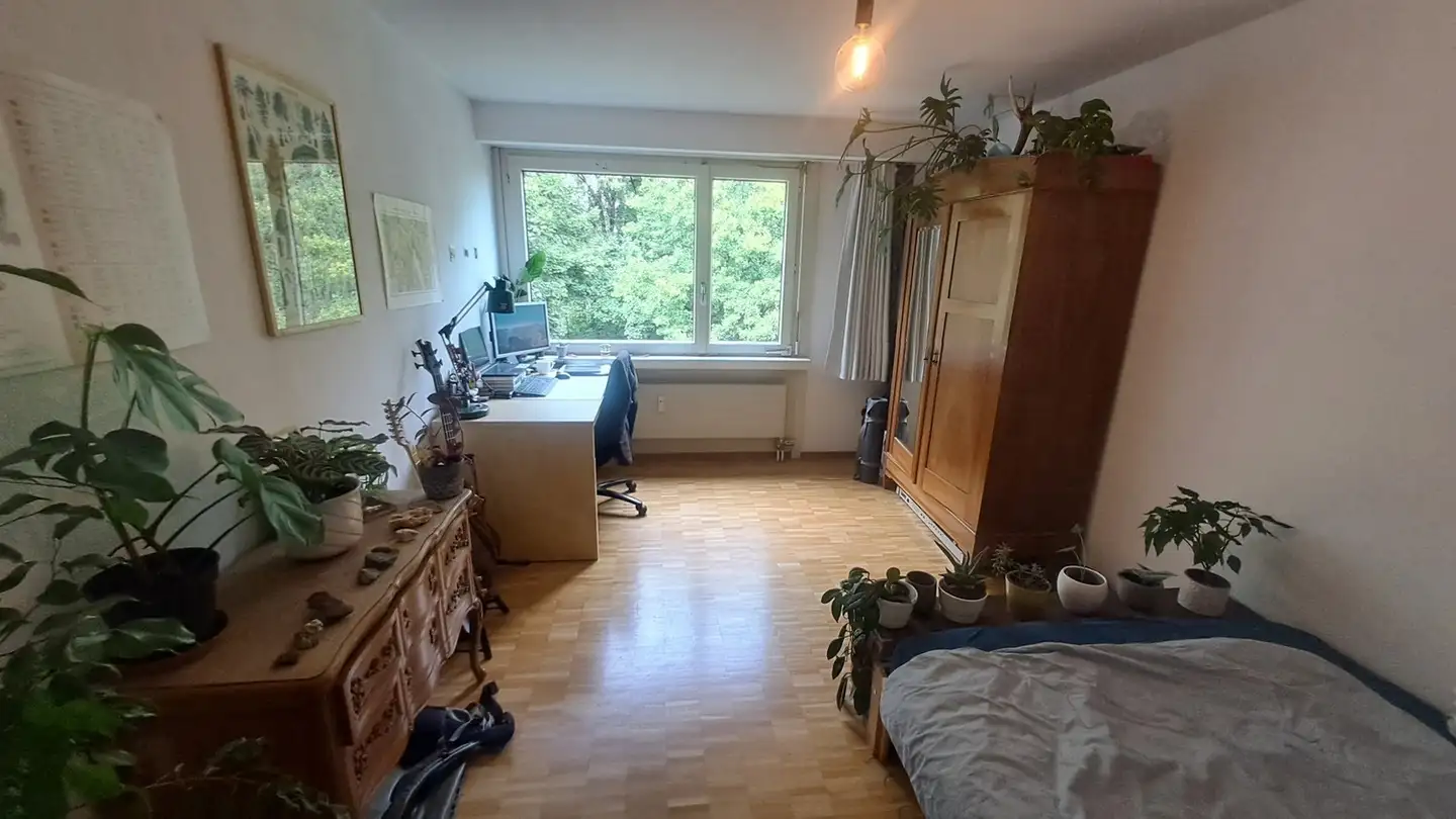 Single room for rent - Wannerstrasse 35, 8045 Zürich