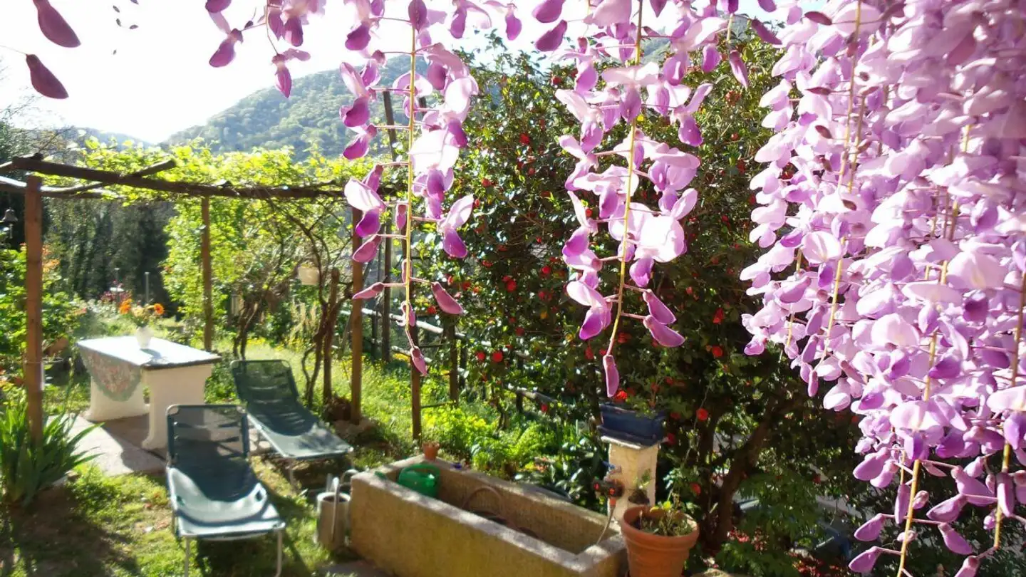 Wohnung kaufen - Via Monteggio, 6998 Monteggio - Foto 4