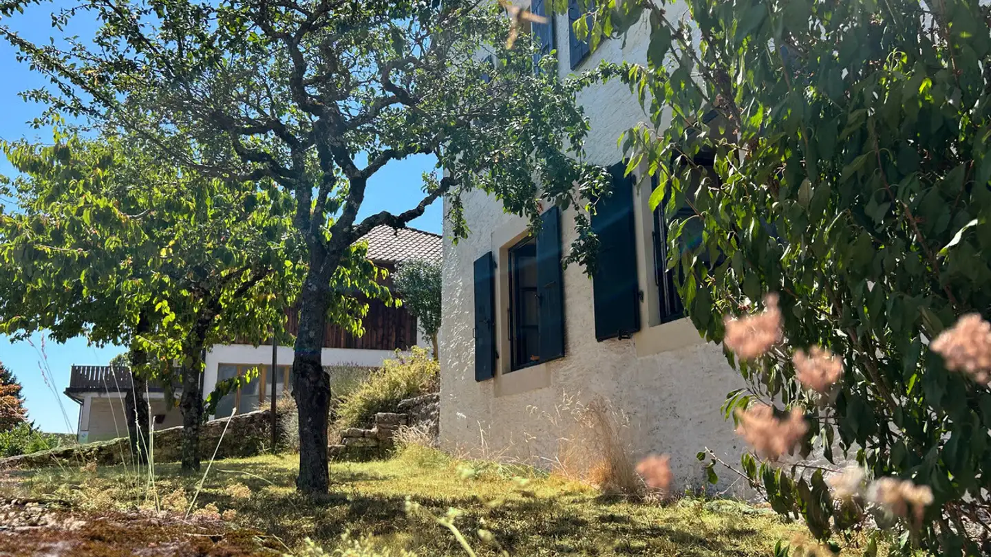 Maison individuelle à vendre - Rue De Ronzeru 2, 2024 St-Aubin-Sauges